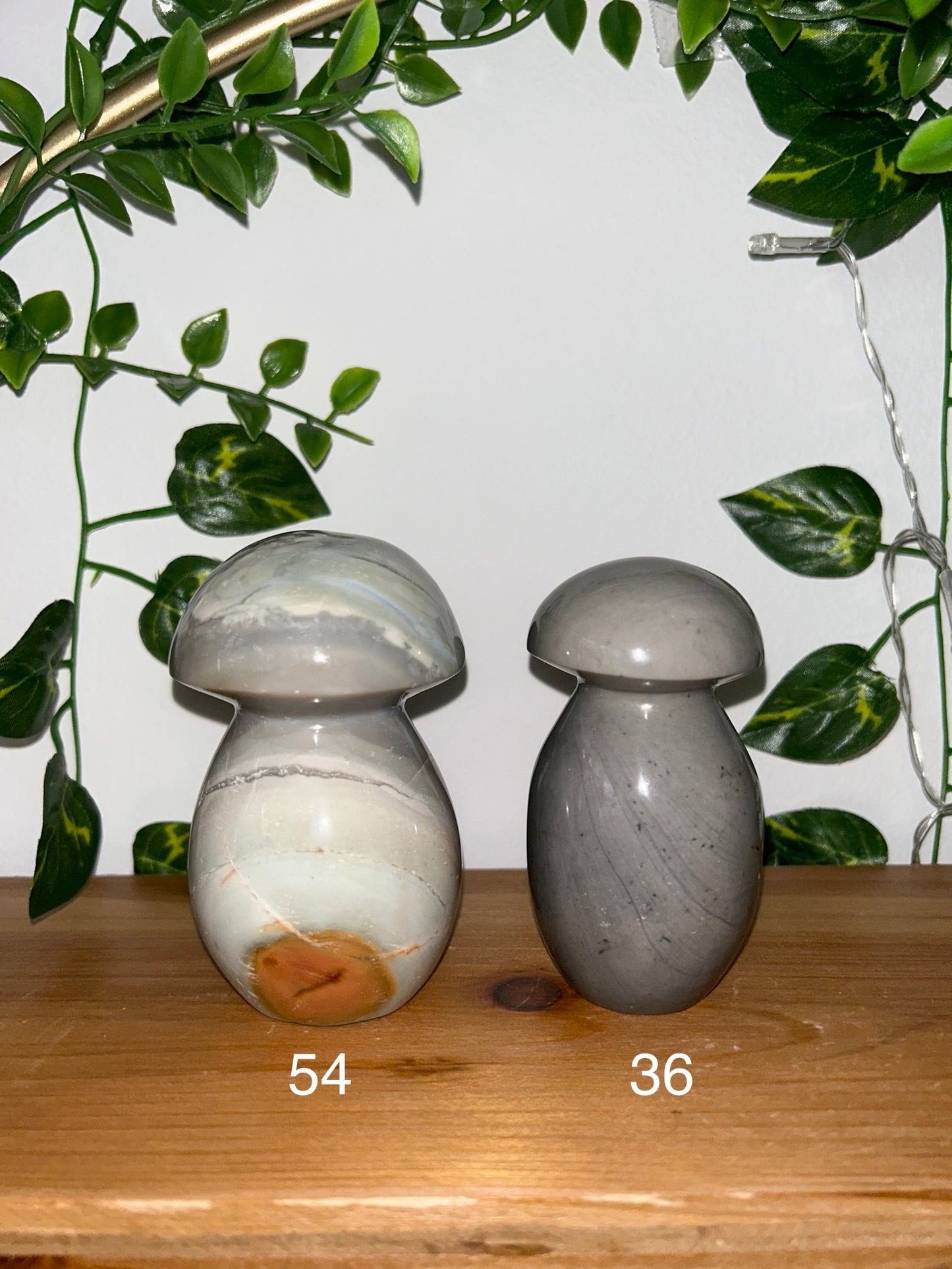 Polychrome Mushroom- 54, 36