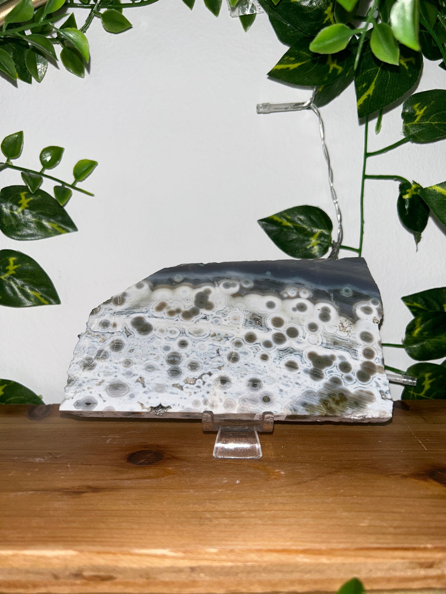 8th Vein Ocean Jasper Slab