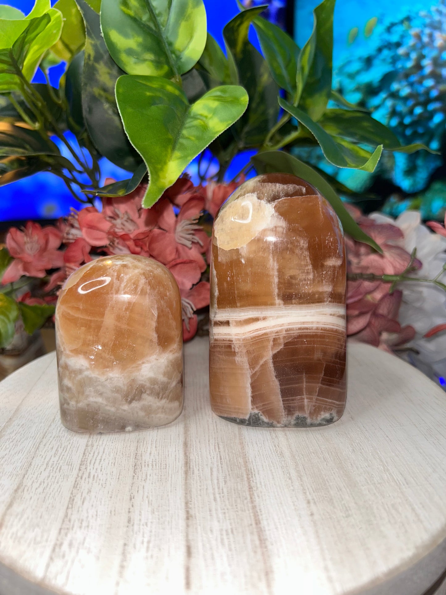 Honey Calcite Freeform- 36, 48