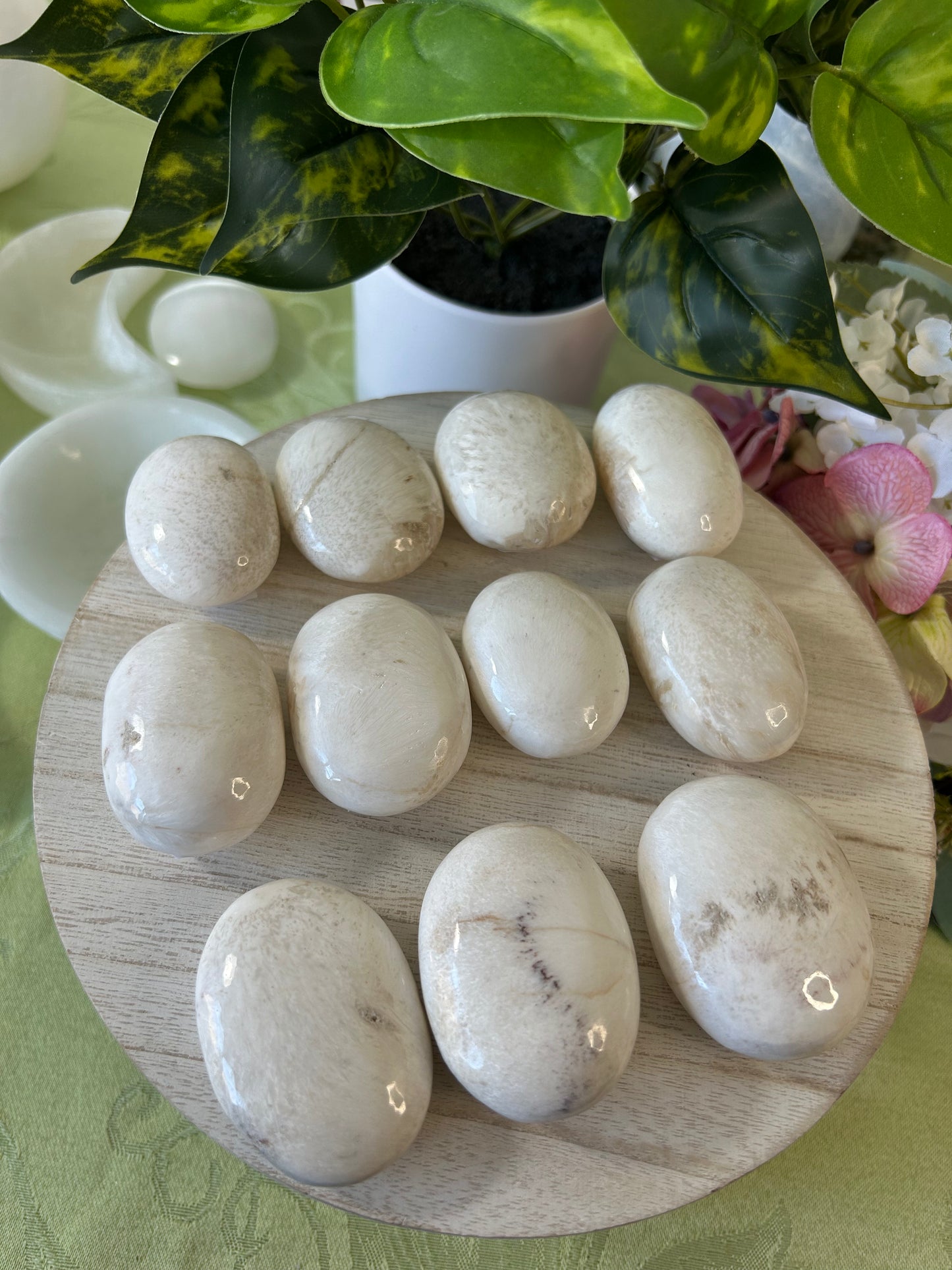 Scolecite Palm Stone- your choice