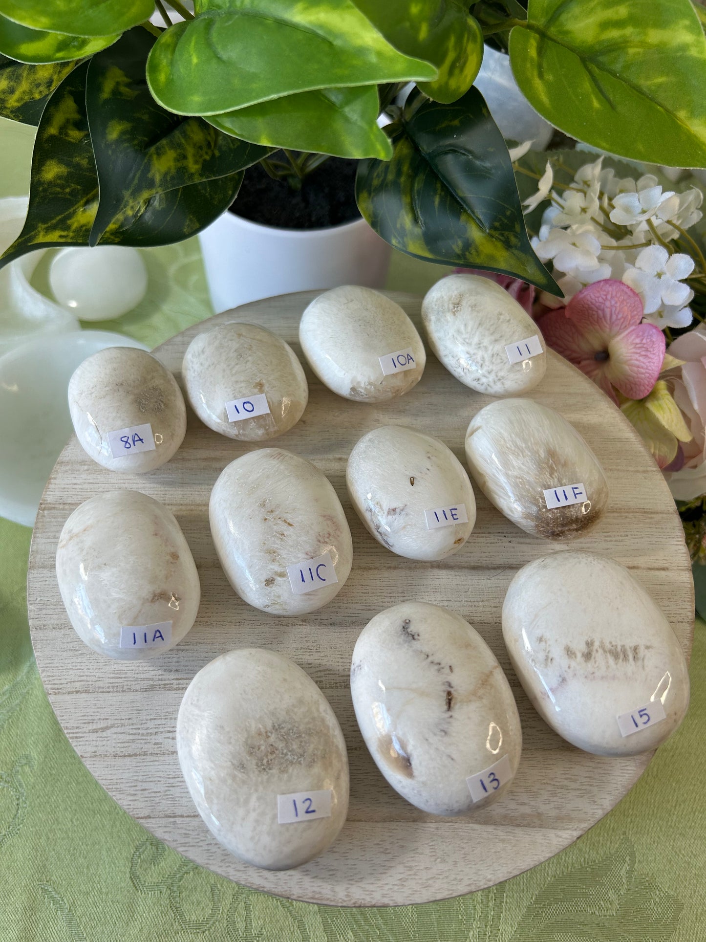 Scolecite Palm Stone- your choice
