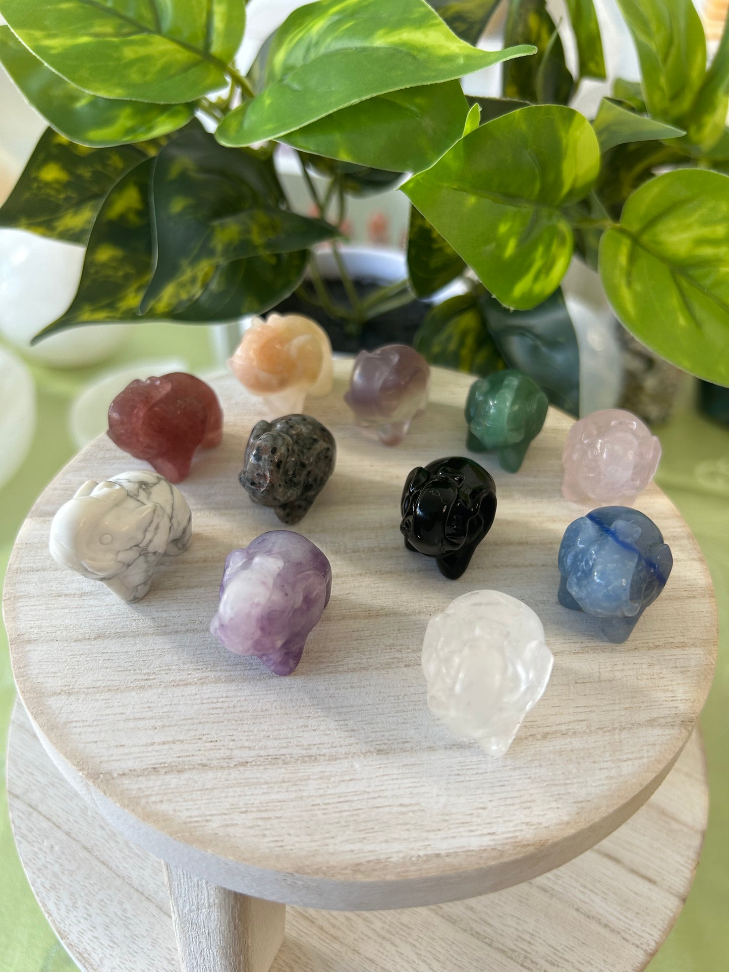 Crystal Elephants