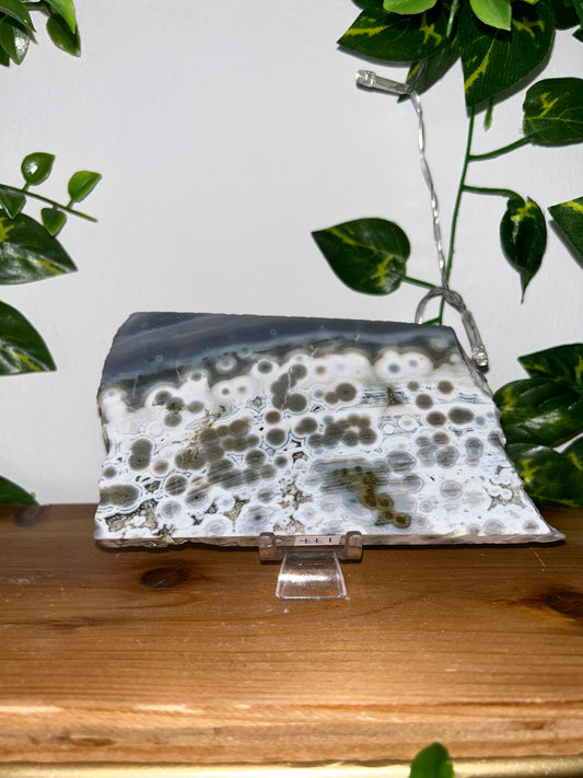 8th Vein Ocean Jasper Slab