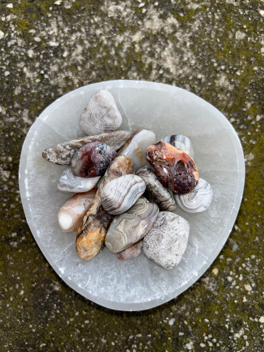 Mexican Crazy Lace Agate Tumbles